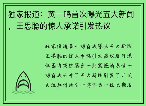 独家报道：黄一鸣首次曝光五大新闻，王思聪的惊人承诺引发热议